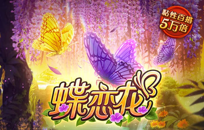 小金体育app官网